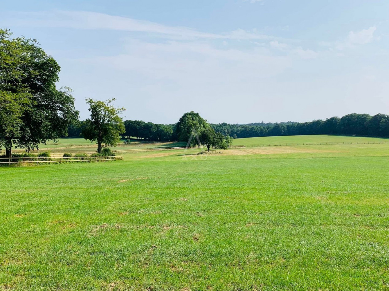 vente Haras / equestre La Ferte Mace - Photo 13