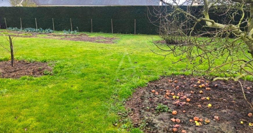 vente Terrain Contigne