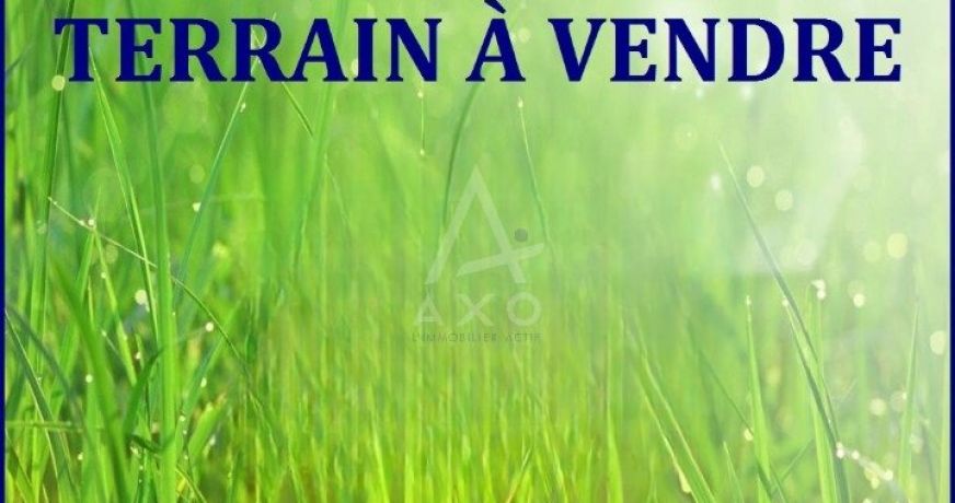 vente Terrain Saint Denis D'anjou