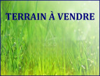vente Terrain Saint Denis D'anjou