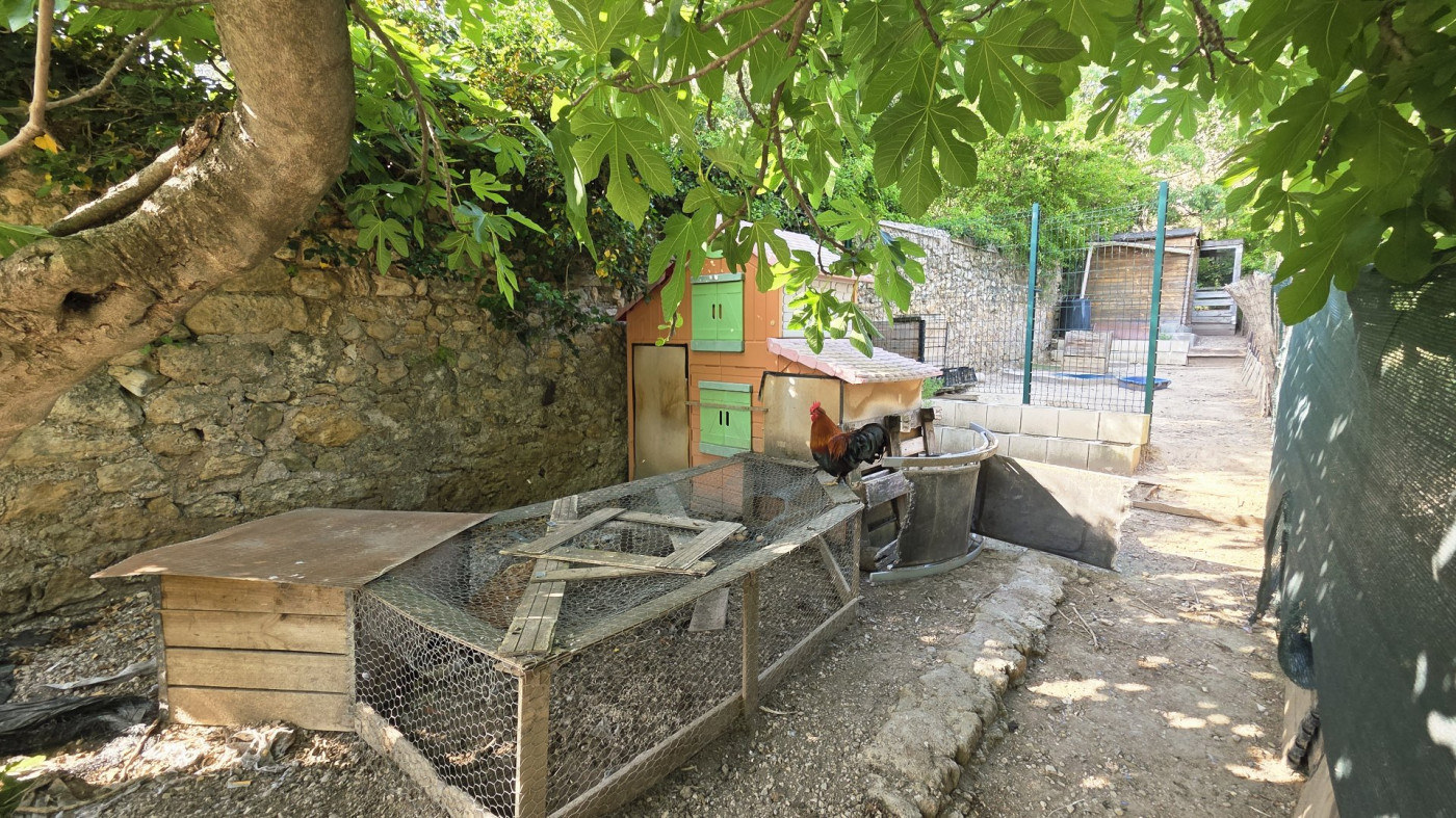 vente Maison individuelle Campagnan - Photo 5