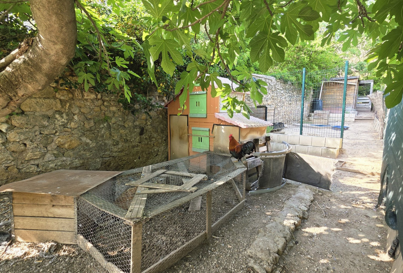 vente Maison individuelle Campagnan - Photo 5