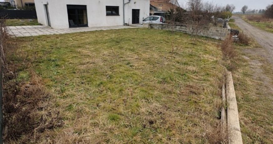 vente Maison Sainte Croix En Plaine