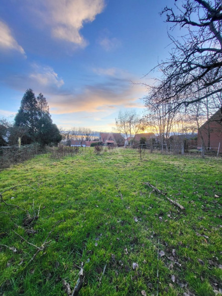 vente Terrain Bersee - Photo 1