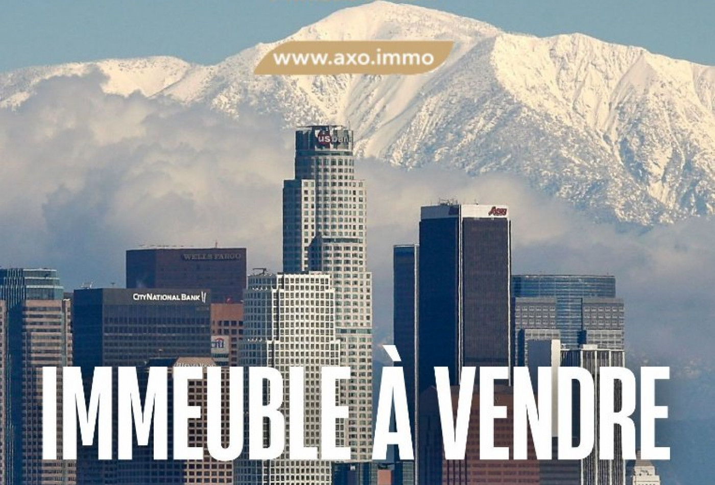 vente Immeuble de rapport Saint Pierre Du Mont - Photo 1