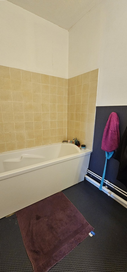 vente Appartement Toulouse - Photo 3