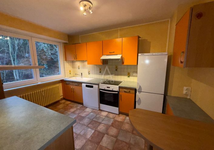 vente Appartement ancien Wintzenheim