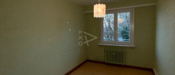 vente Appartement ancien Wintzenheim