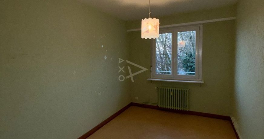 vente Appartement ancien Wintzenheim