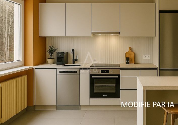 vente Appartement ancien Wintzenheim