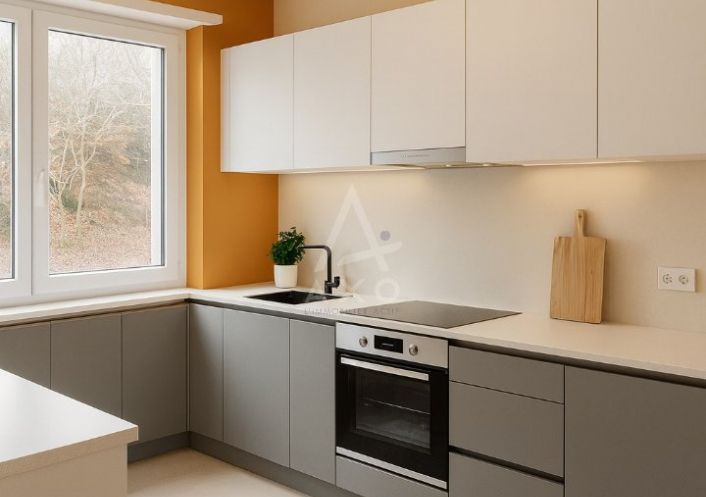 vente Appartement ancien Wintzenheim
