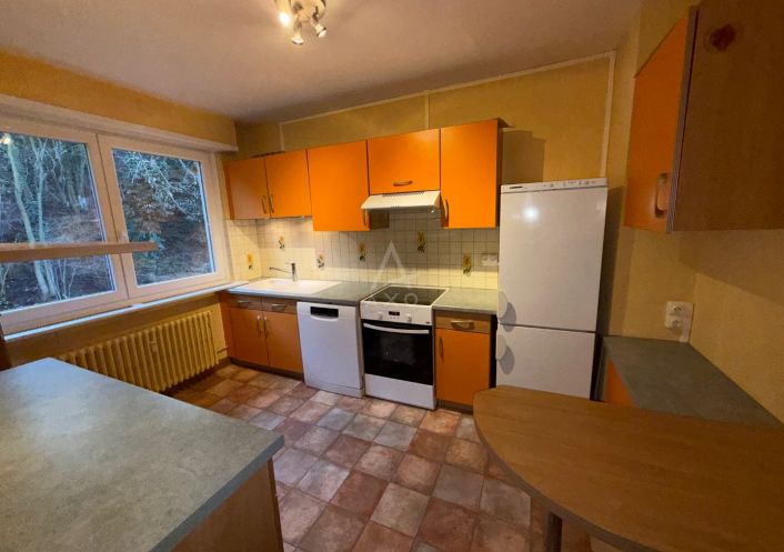 vente Appartement ancien Wintzenheim