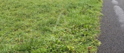 vente Grange Magnac Sur Touvre