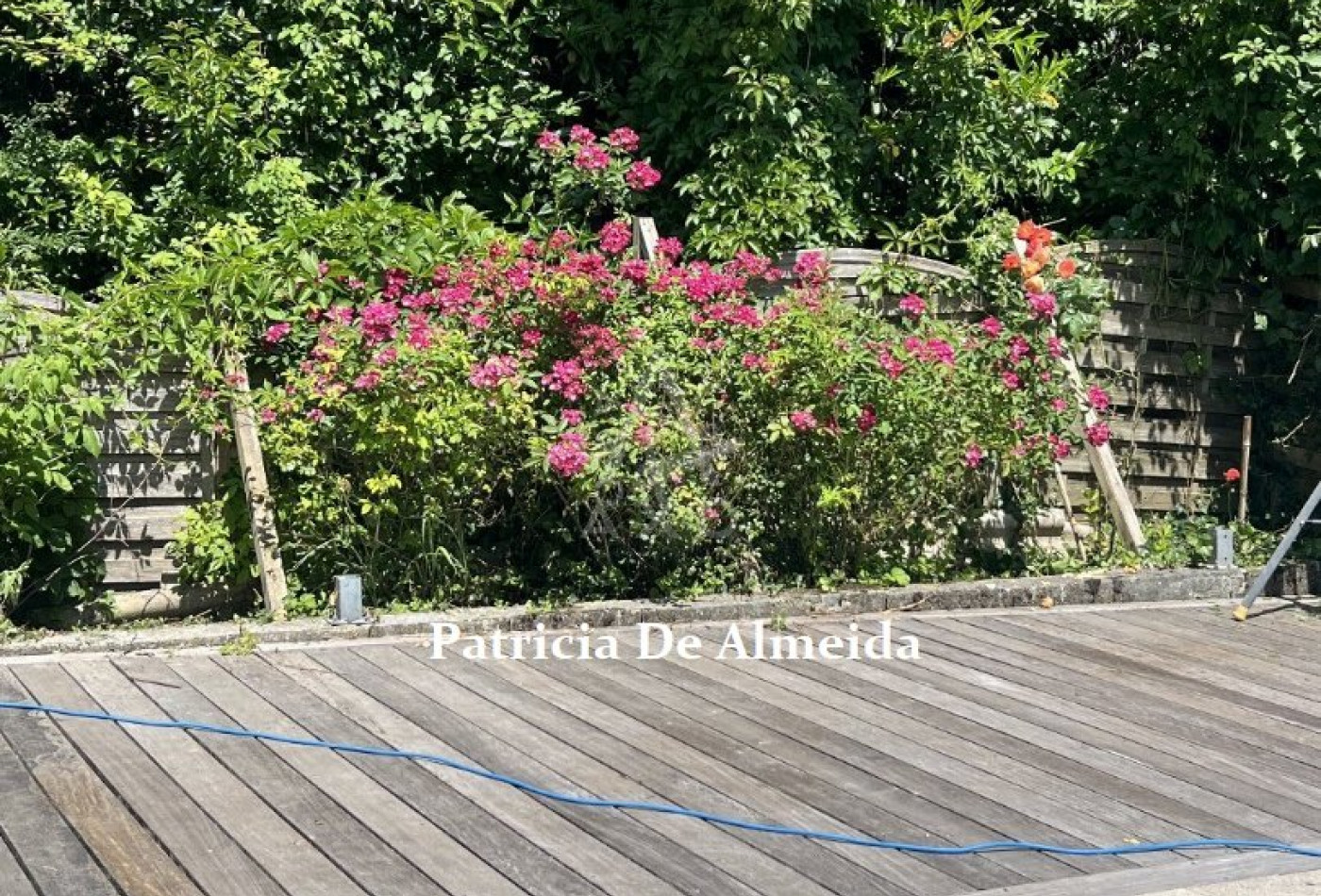 vente Maison Salies De Bearn - Photo 3