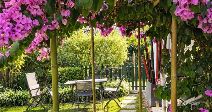 vente Maison Pomarez