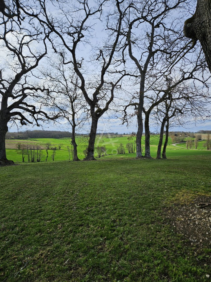 vente Maison et dépendances Lauraet - Photo 20