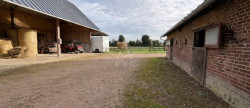 vente Haras / equestre Lisieux