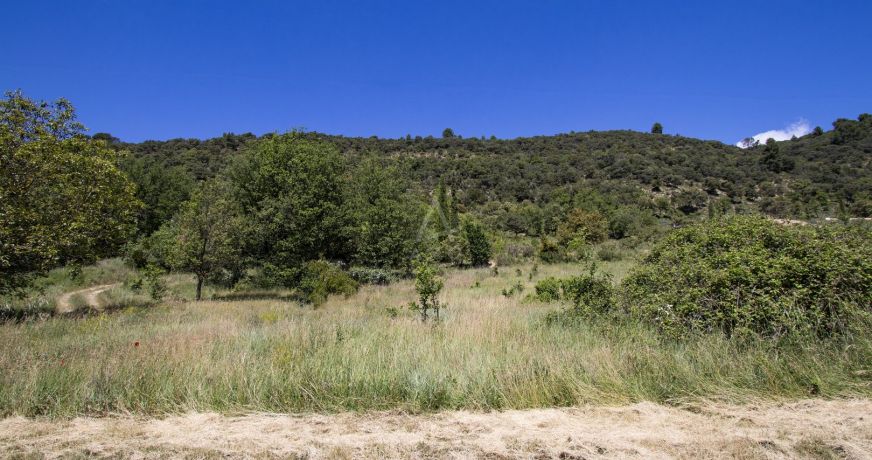 vente Terrain Allemagne En Provence