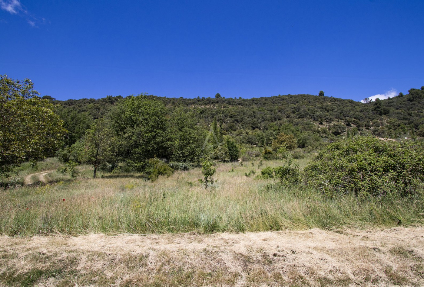 vente Terrain Allemagne En Provence - Photo 4