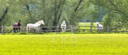 vente Propriété Villemer