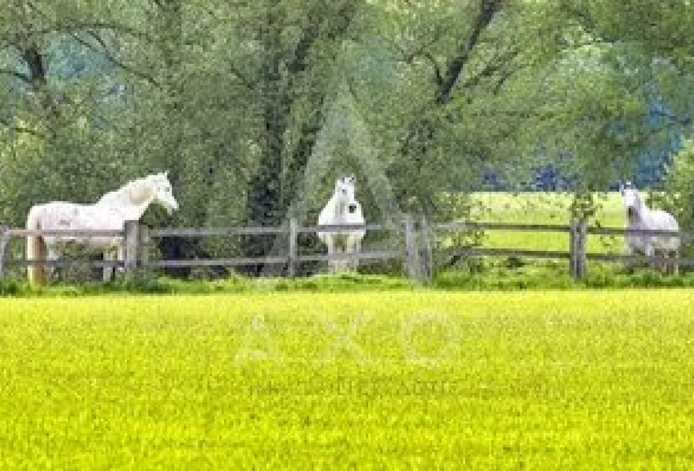 vente Propriété Villemer - Photo 3