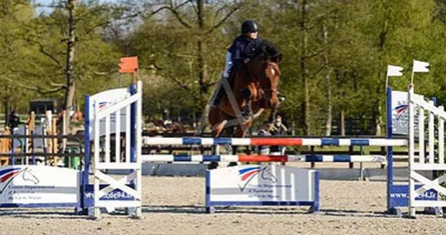 vente Propriété Villemer