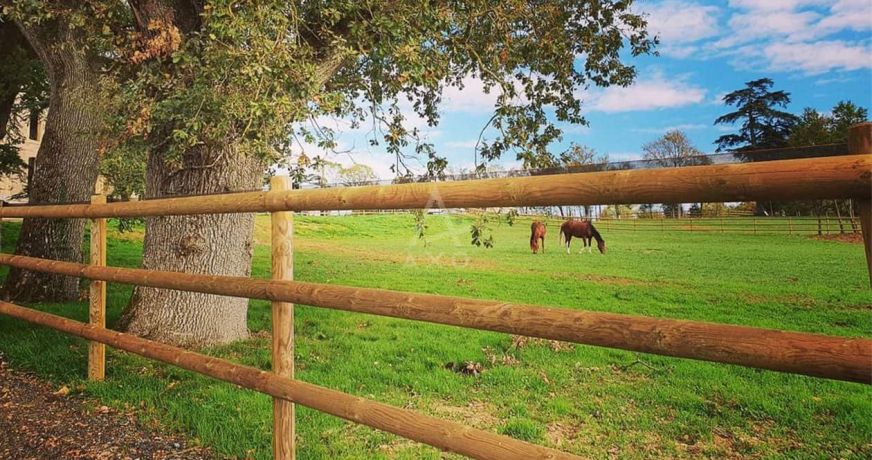 vente Propriété Villemer