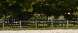 vente Propriété Villemer