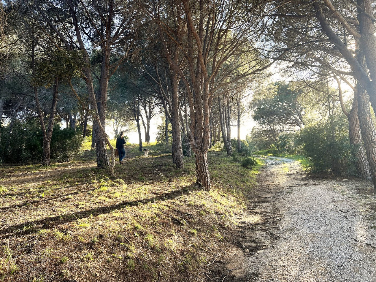 vente Studio cabine Le Lavandou - Photo 10