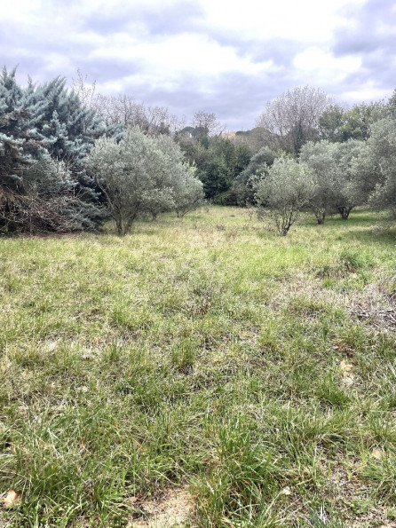 vente Terrain constructible Clermont L'herault - Photo 2