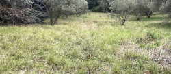 vente Terrain constructible Clermont L'herault