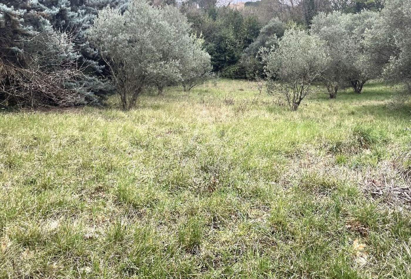 vente Terrain constructible Clermont L'herault - Photo 2