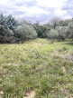 vente Terrain constructible Clermont L'herault