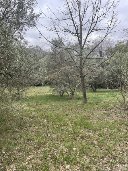 vente Terrain constructible Clermont L'herault - Photo 1