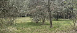 vente Terrain constructible Clermont L'herault
