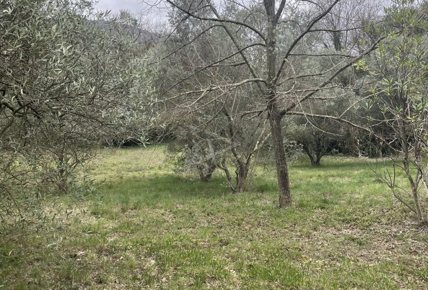 vente Terrain constructible Clermont L'herault - Photo 1