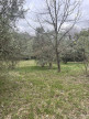 vente Terrain constructible Clermont L'herault