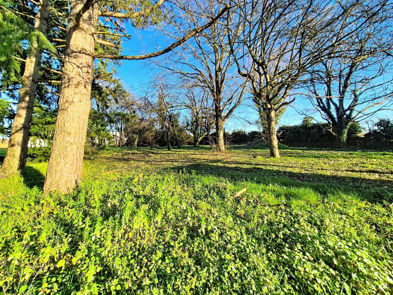 vente Fermette Nogent Sur Vernisson - Photo 5