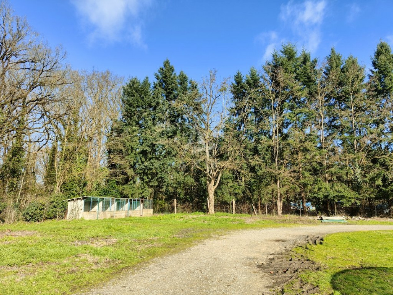 vente Maison Morannes - Photo 13