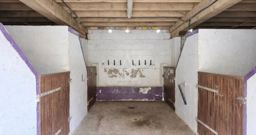 vente Haras / equestre Belleme