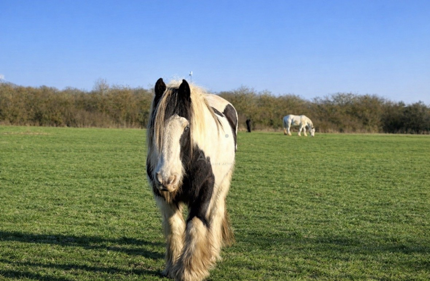 vente Haras / equestre Verneuil Sur Avre - Photo 2