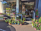 vente Fleuriste Giberville