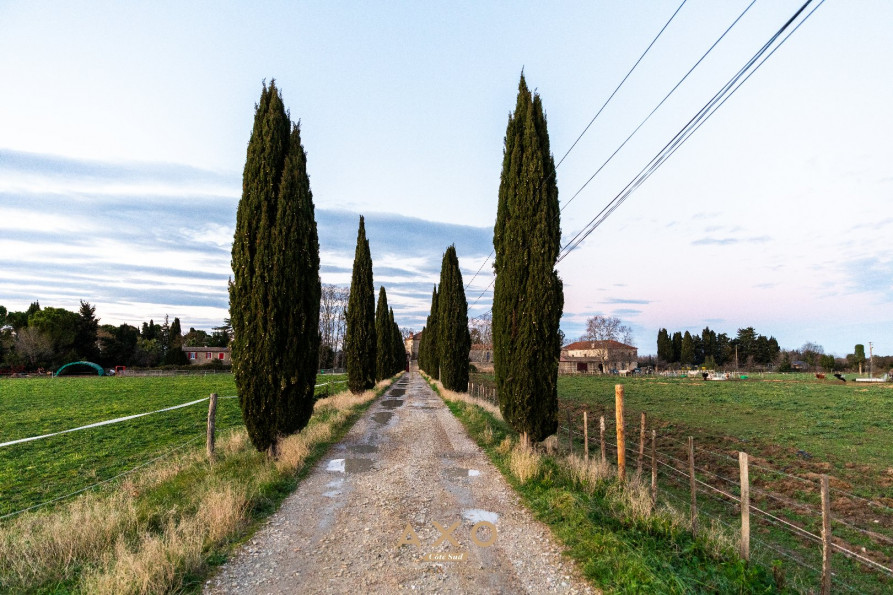 vente Propriété Aimargues - Photo 1