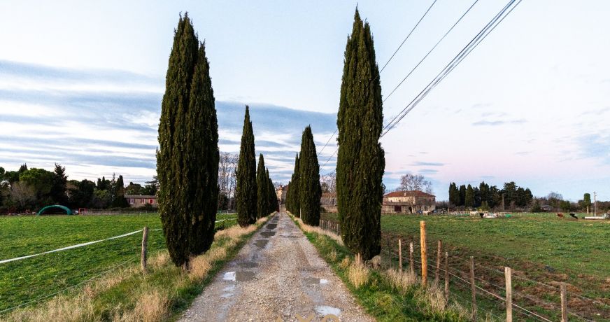 vente Propriété Aimargues