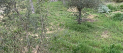 vente Terrain Riez