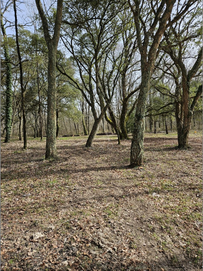 vente Maison Sainte Maure De Peyriac - Photo 9