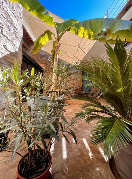 vente Maison Caux - Photo 8