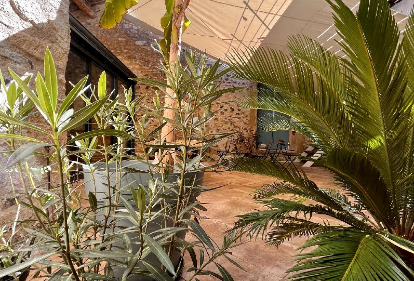 vente Maison Caux - Photo 8