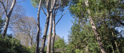vente Maison de ville Nimes