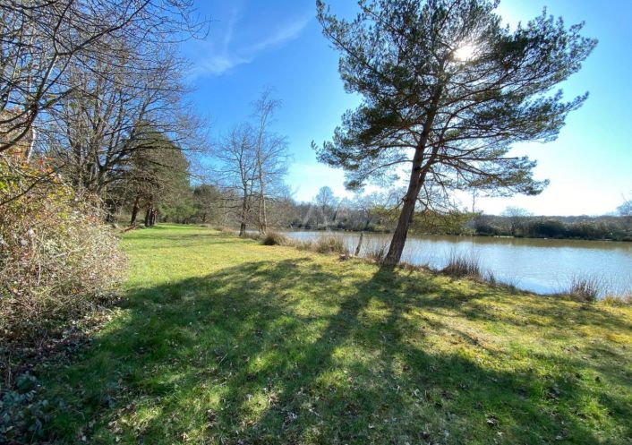 vente Etang Saint Brisson Sur Loire